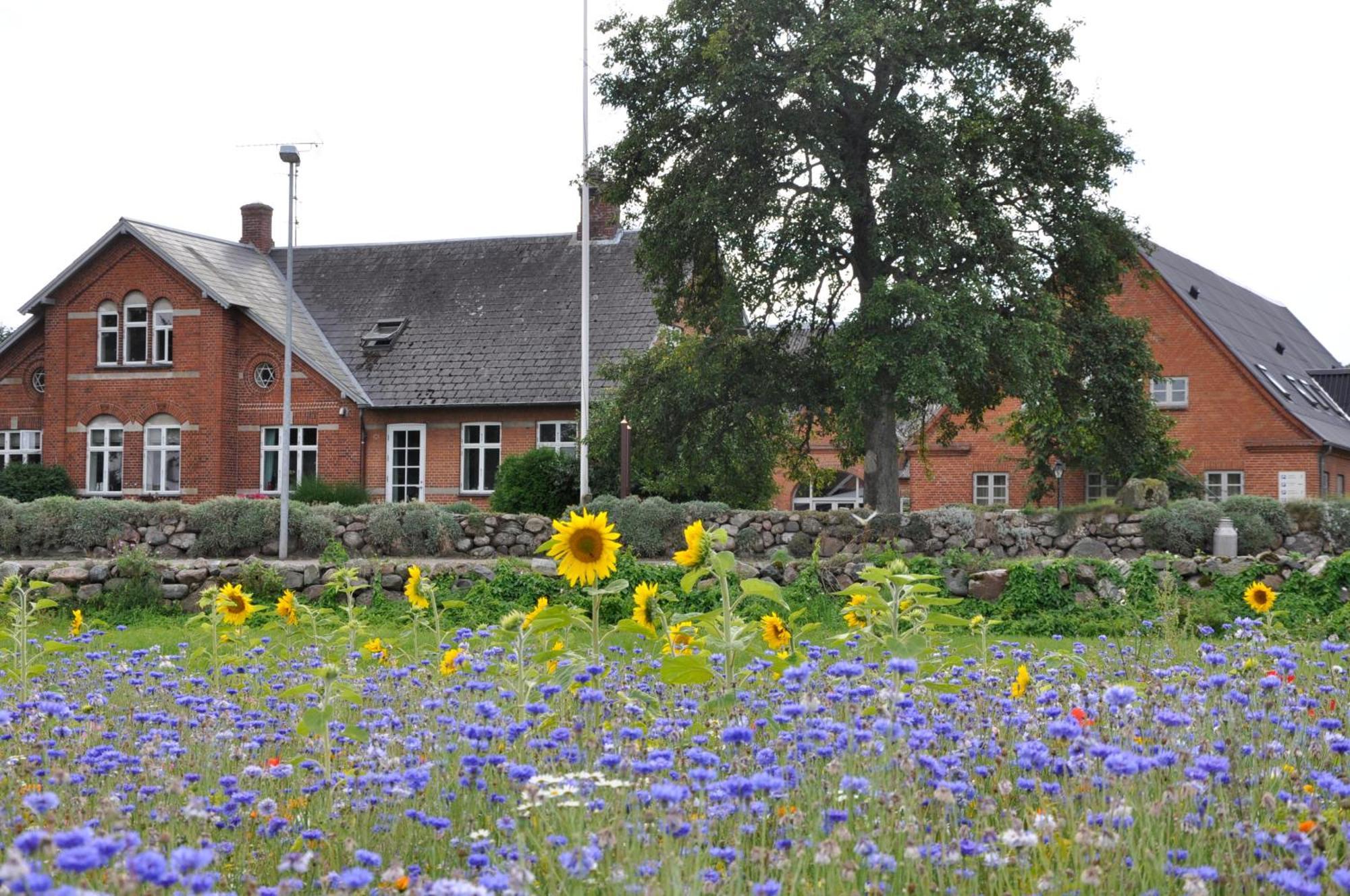 Lundsgaard Bed&Breakfast Fåborg Exterior foto