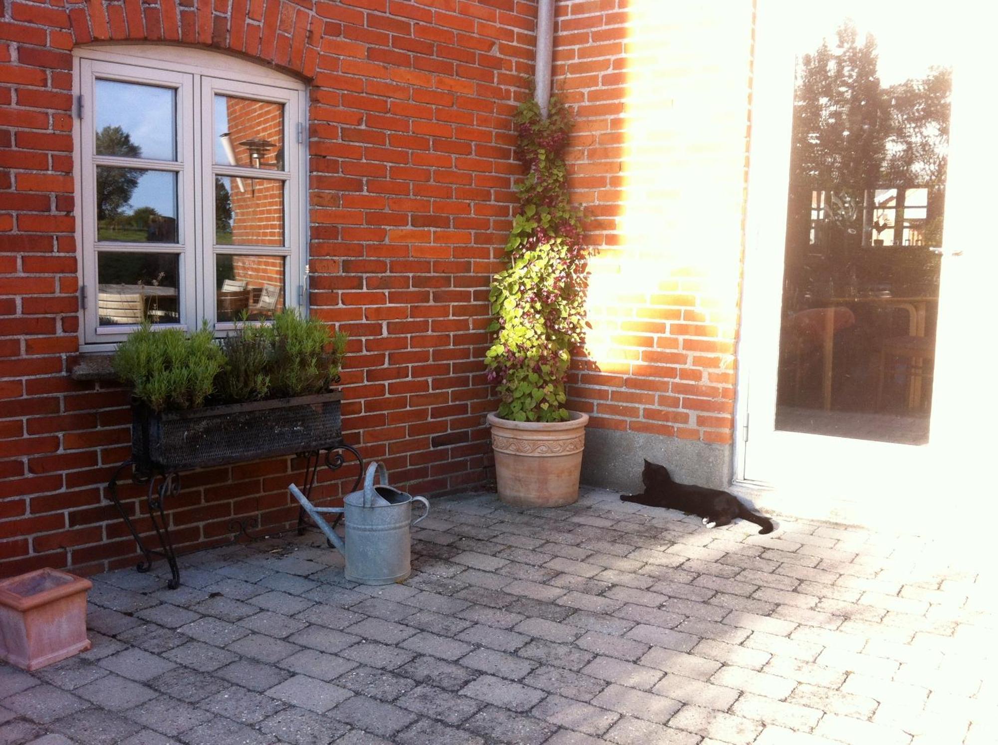 Lundsgaard Bed&Breakfast Fåborg Exterior foto